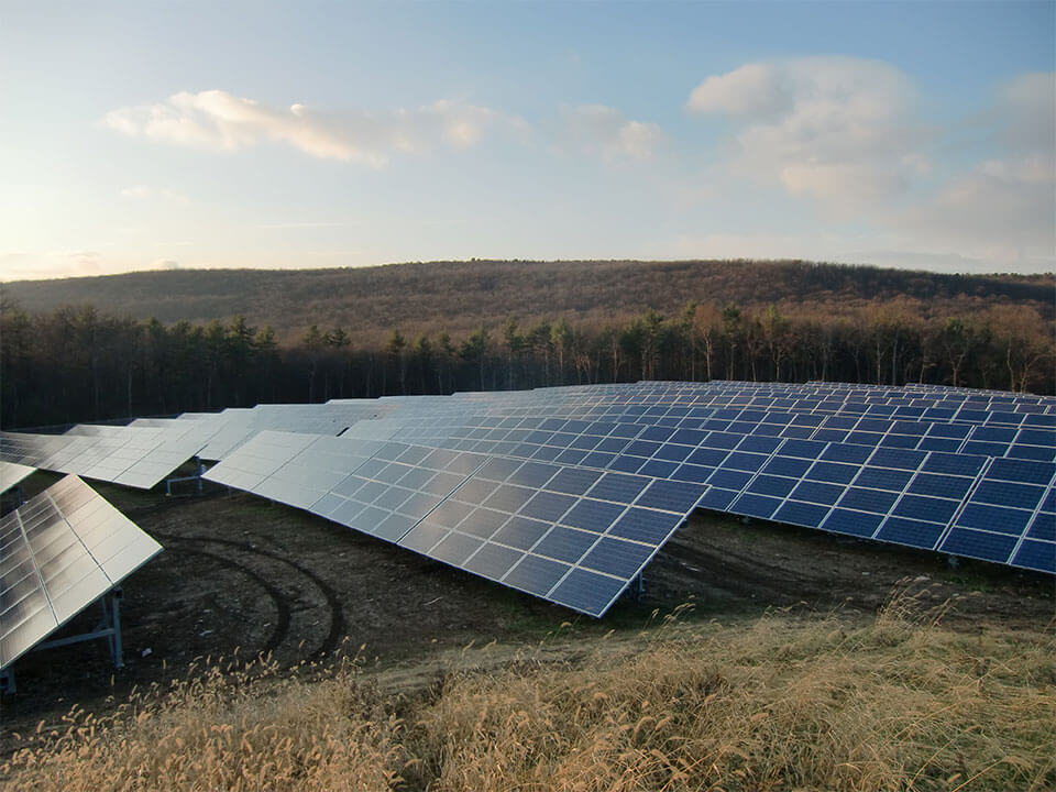 solar panels in a field