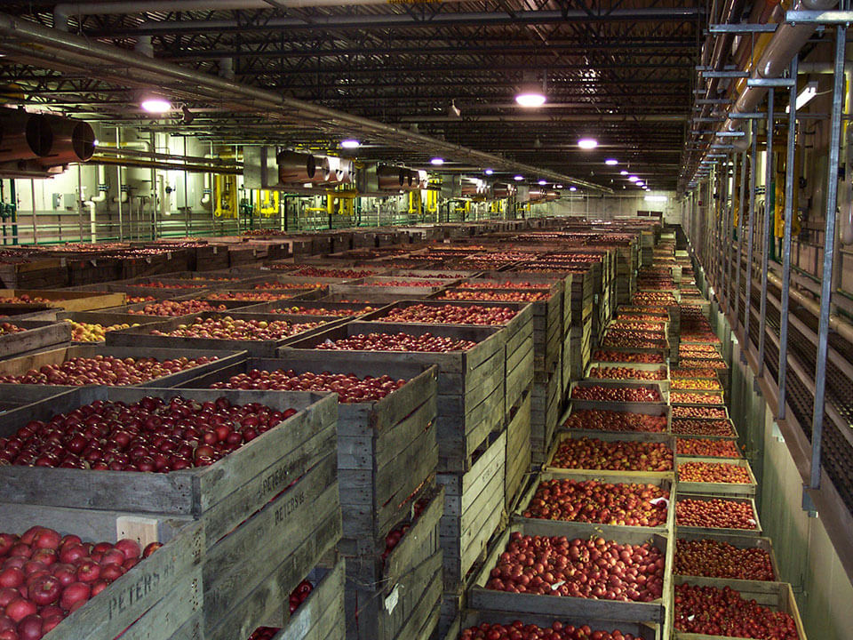 apples in crates inside storage facility knouse foodservice